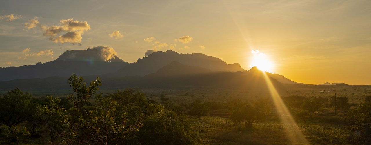 Gorilla Tracking in Uganda